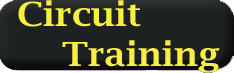 circuit-training
